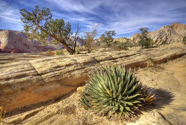 Deserts Near Snow Canyon Utah