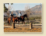 Horse Riding in Dammeron Valley